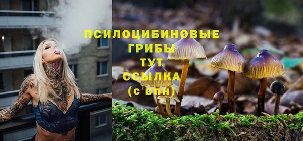 твердый Оленегорск