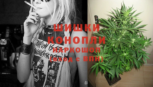 прущие крисы Нефтекумск