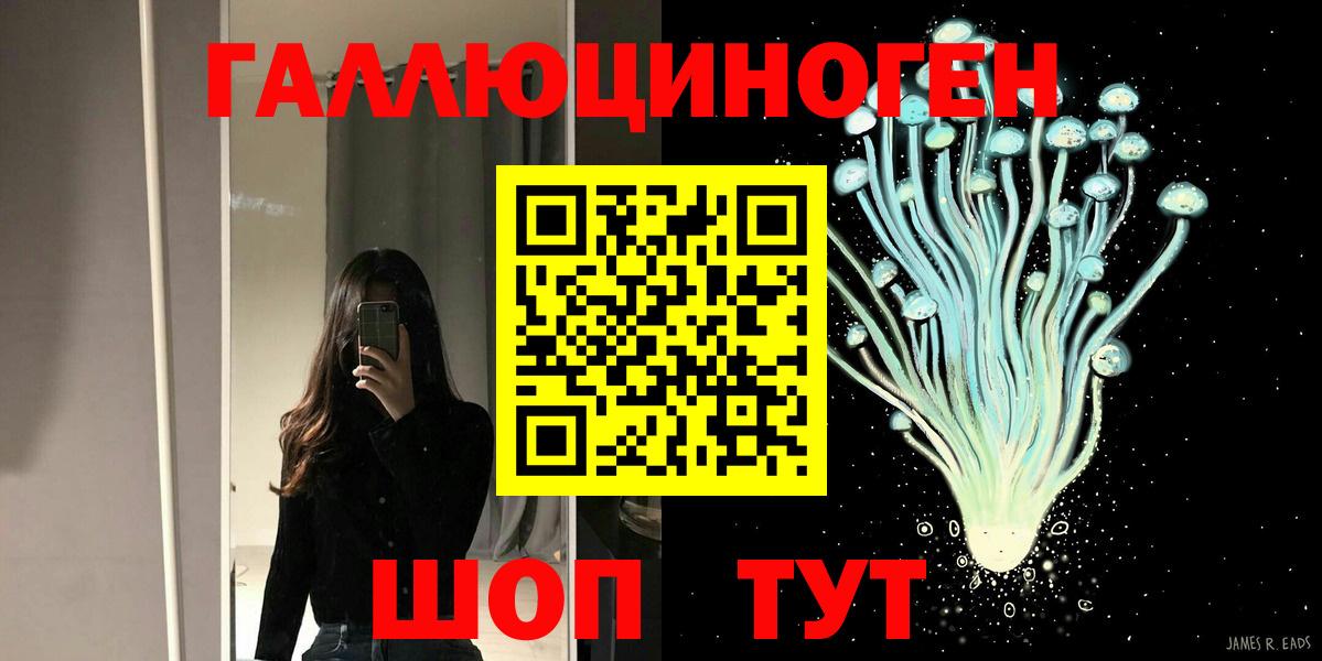 Псилоцибиновые грибы Psilocybine cubensis  Пятигорск  Псилоцибиновые грибы прущие грибы 